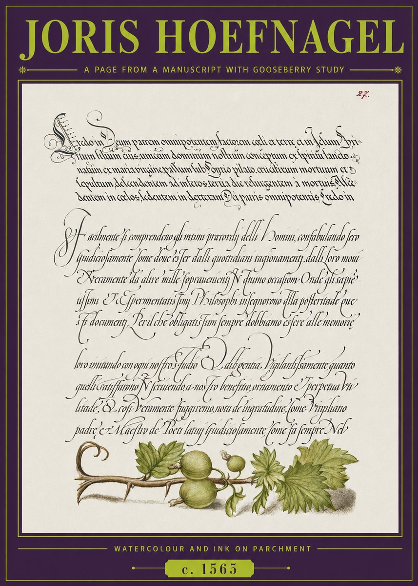 Joris Hoefnagel A Page from a Manuscript with Gooseberry Study No3 - Affiche