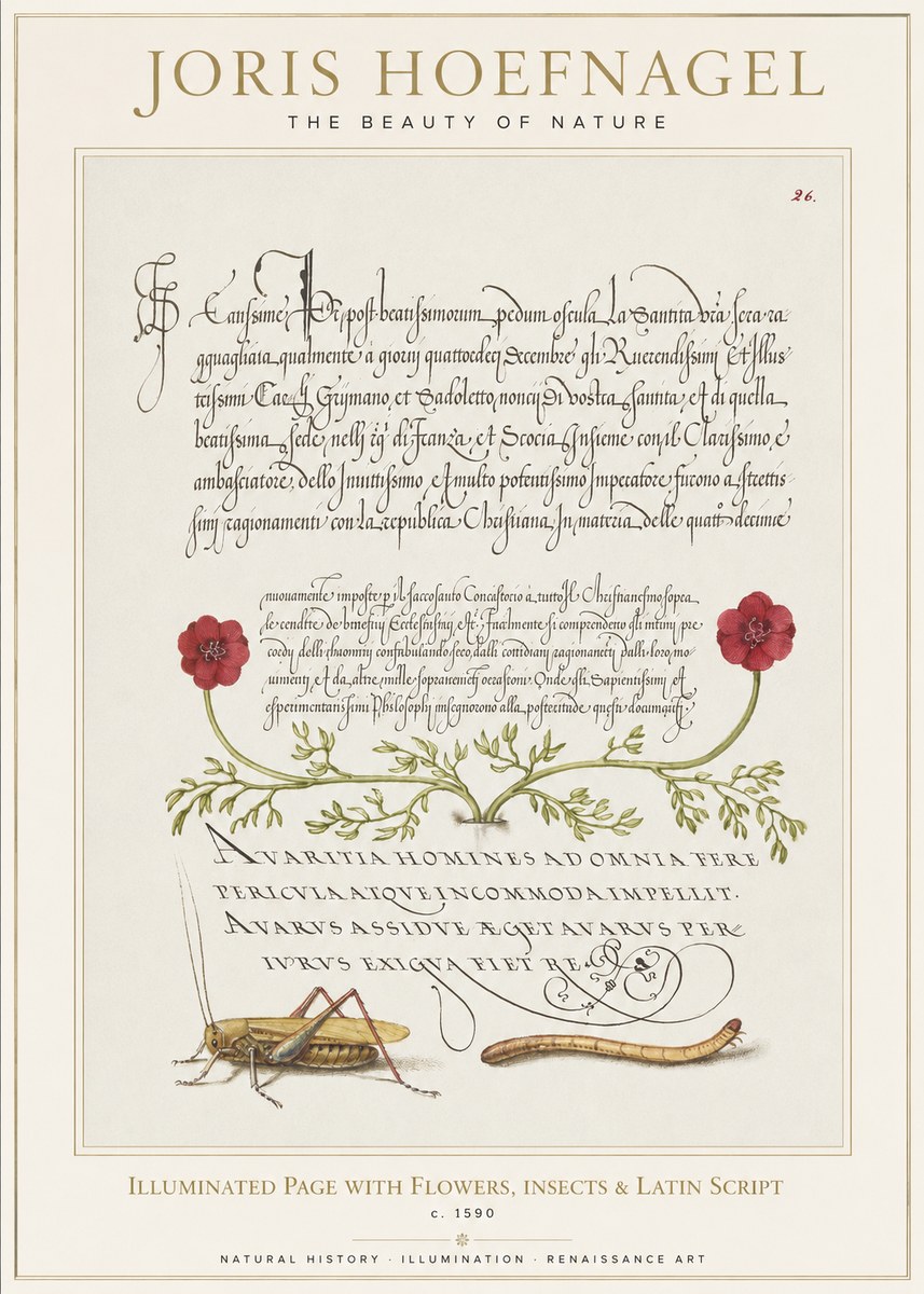 Joris Hoefnagel Illuminated Page with Flowers, Insects & Latin Script No1 - Affiche