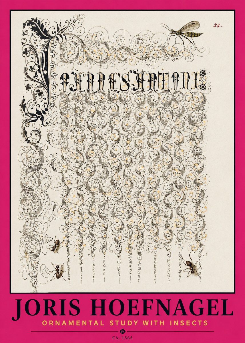 Joris Hoefnagel Ornamental Study with Insects No2 - Affiche