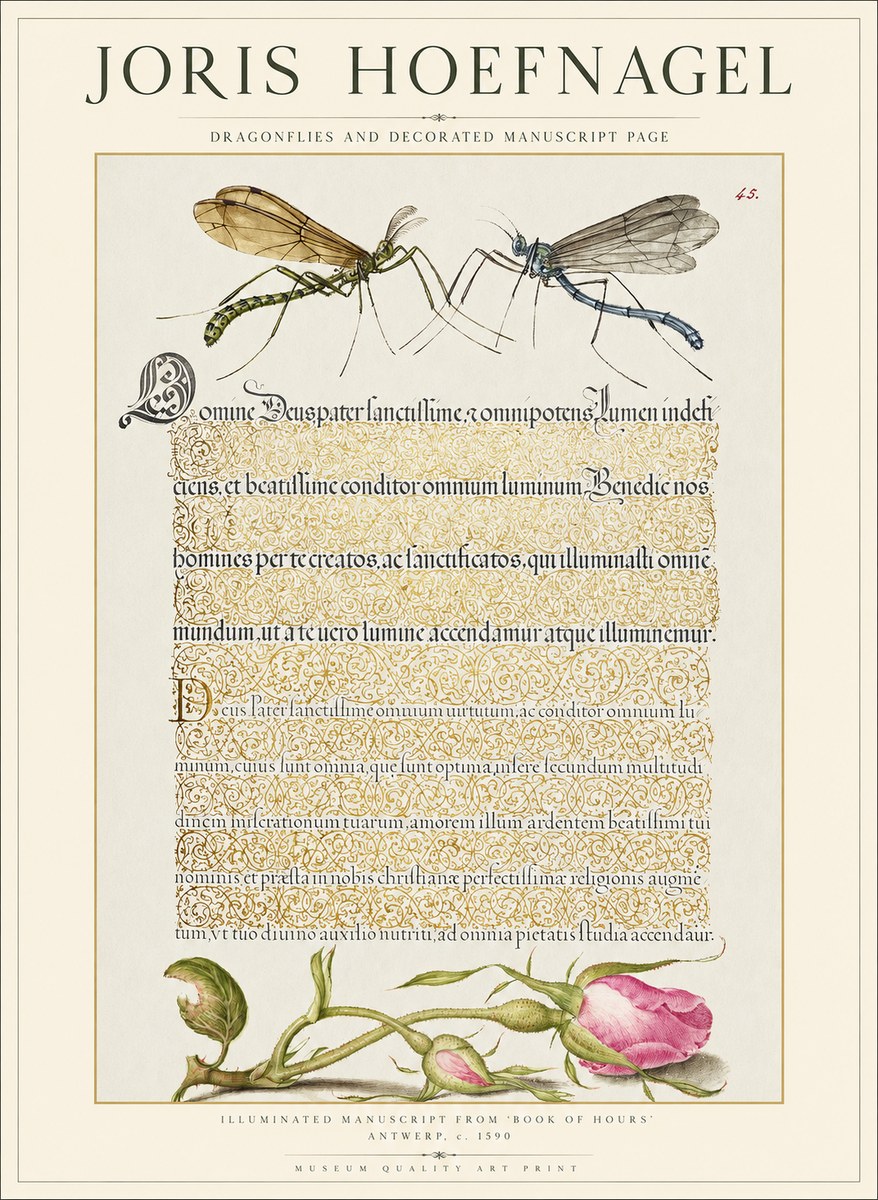Joris Hoefnagel Dragonflies and Decorated Manuscript Page No1 - Affiche