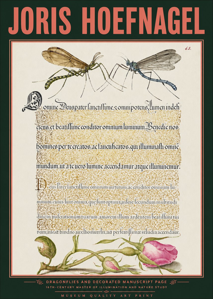 Joris Hoefnagel Dragonflies and Decorated Manuscript Page No3 - Affiche