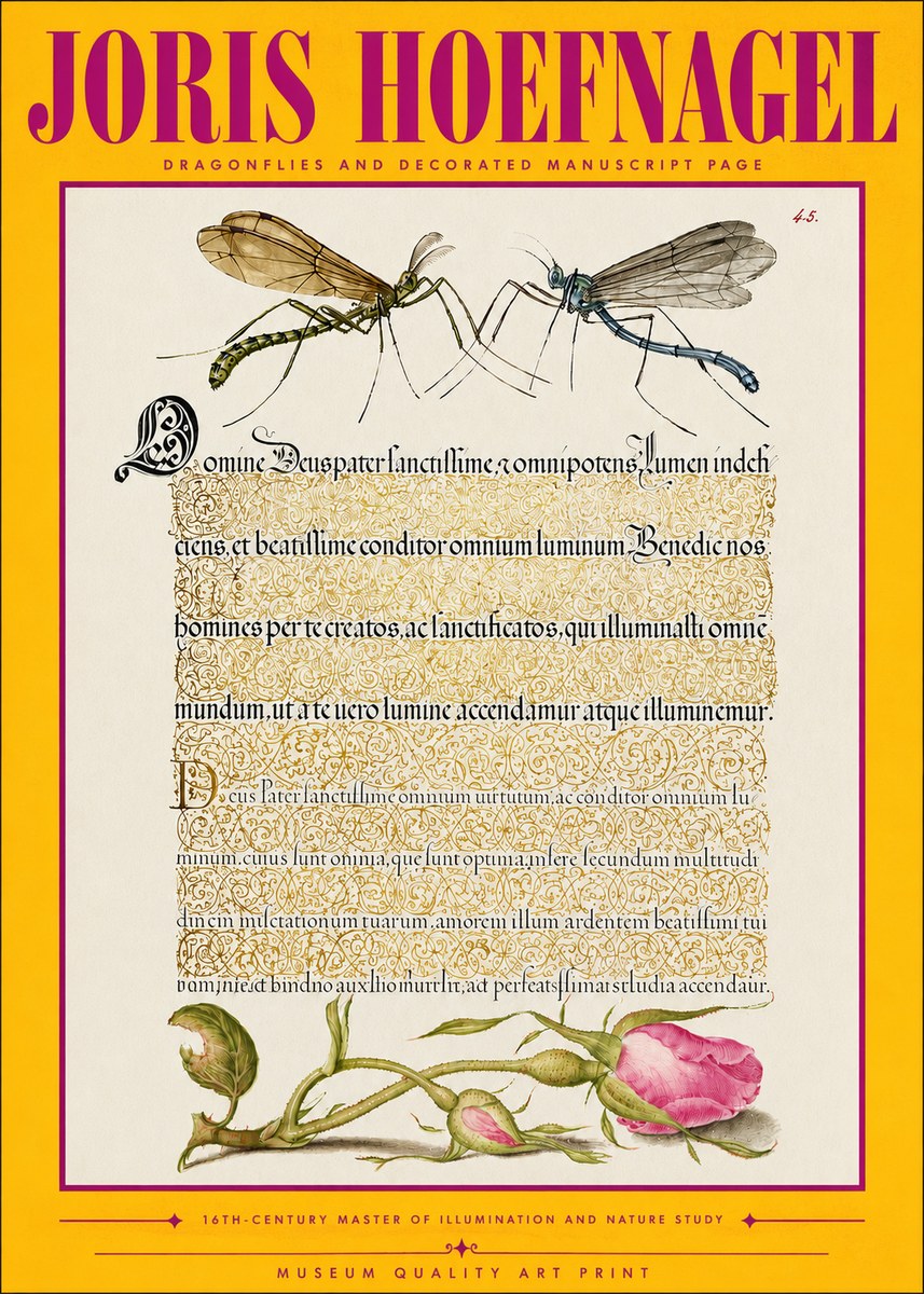 Joris Hoefnagel Dragonflies and Decorated Manuscript Page No4 - Affiche