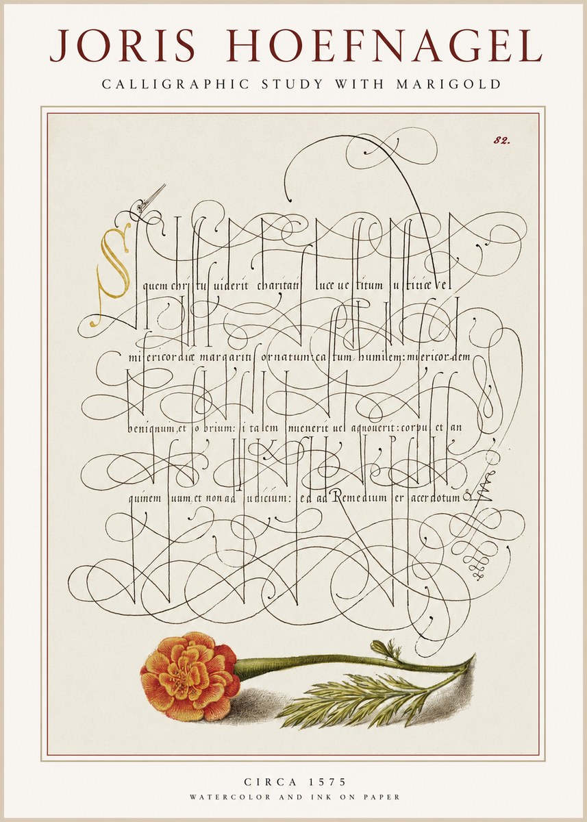 Joris Hoefnagel Calligraphic Study with Marigold No1 - Affiche