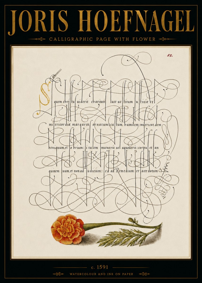 Joris Hoefnagel Calligraphic Study with Marigold No6 - Affiche