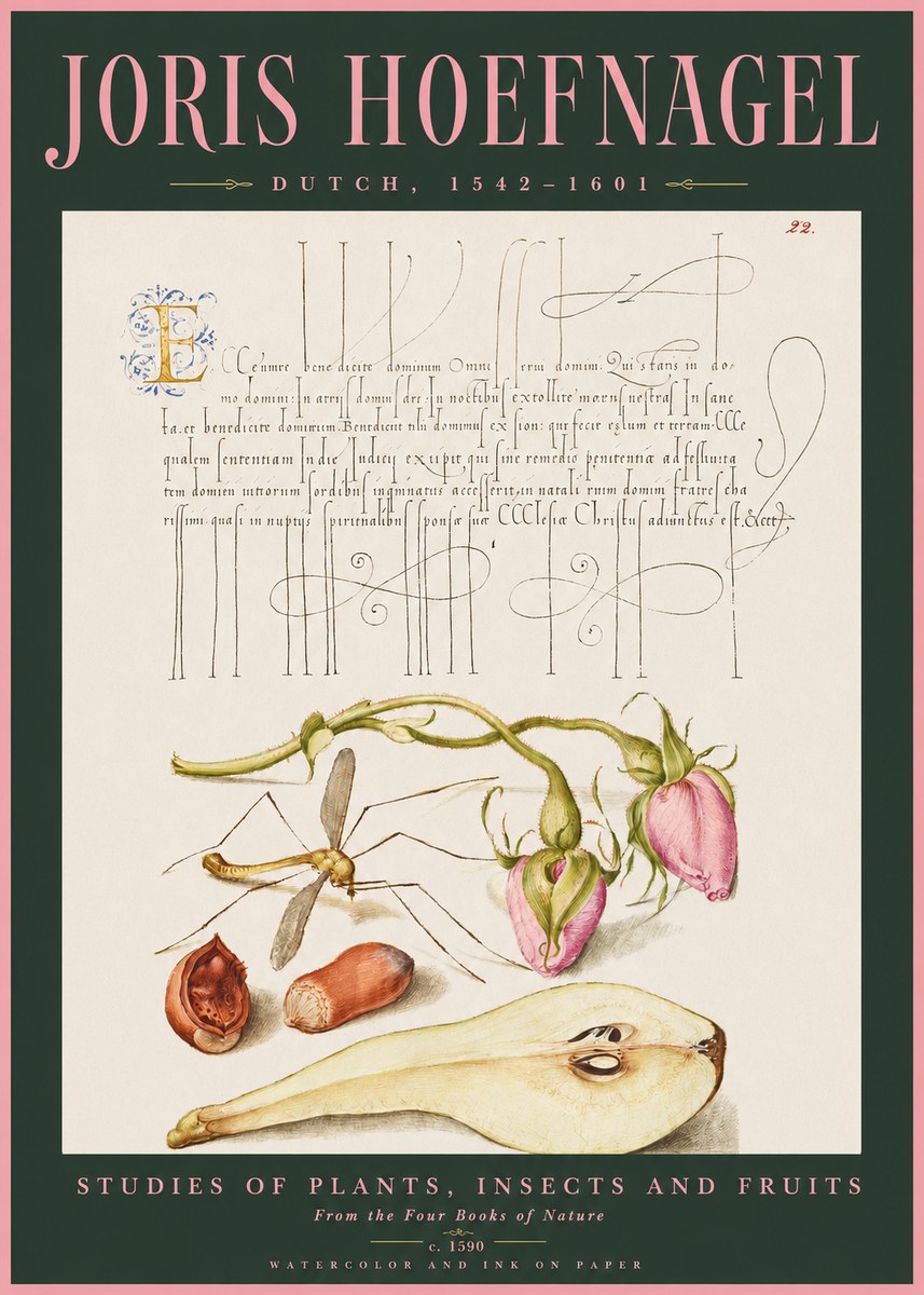 Joris Hoefnagel Studies of Plants, Insects and Fruits No2 - Affiche