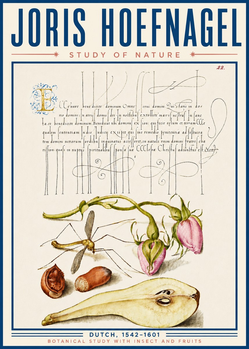 Joris Hoefnagel Studies of Plants, Insects and Fruits No6 - Affiche