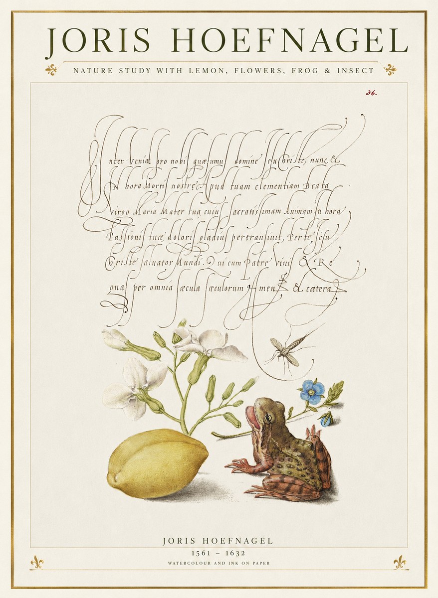 Joris Hoefnagel Nature Study with Lemon, Flowers, Frog & Insect No1 - Affiche