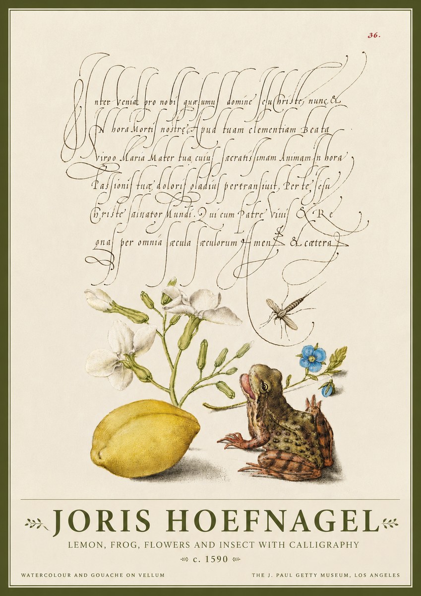 Joris Hoefnagel Nature Study with Lemon, Flowers, Frog & Insect No4 - Affiche