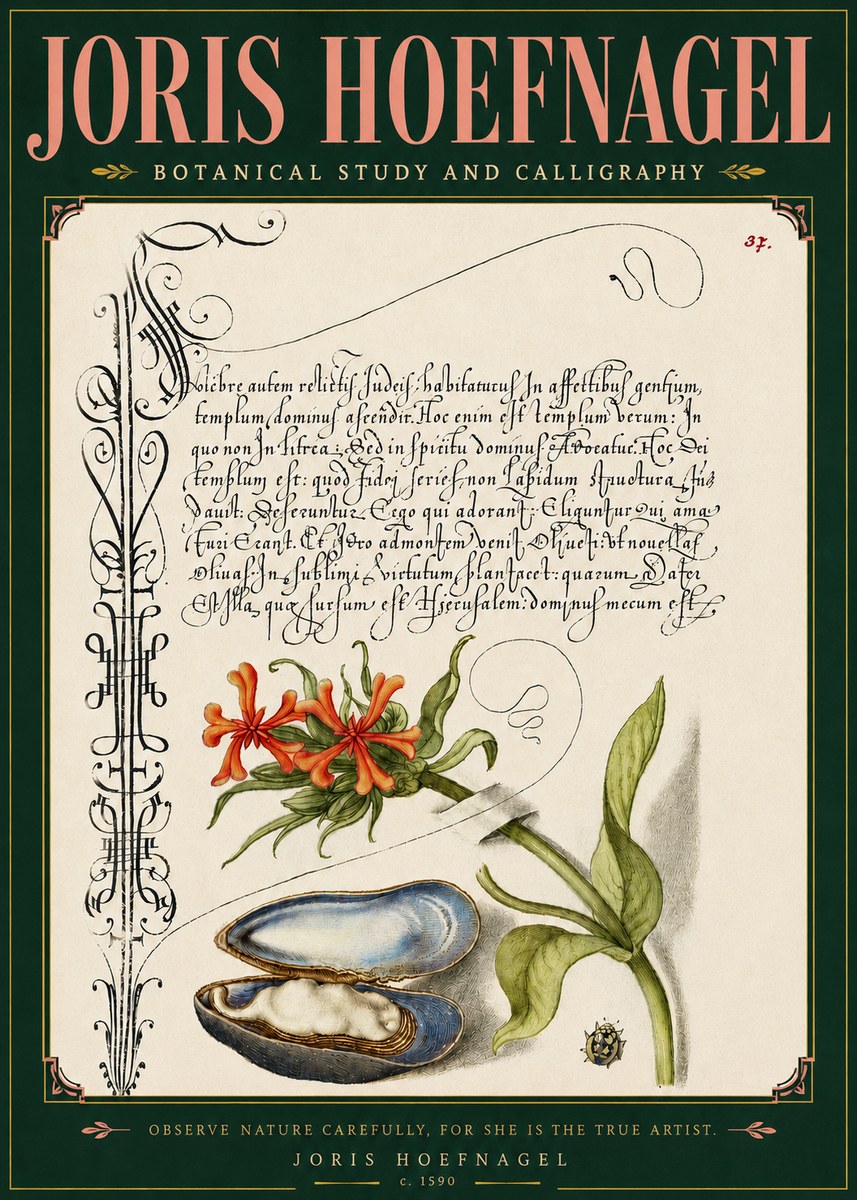 Joris Hoefnagel Botanical Study and Calligraphic Page No5 - Affiche