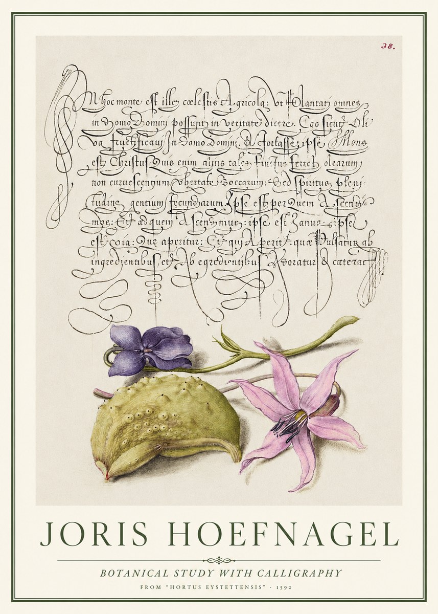 Joris Hoefnagel Botanical Study with Calligraphy I No1 - Affiche