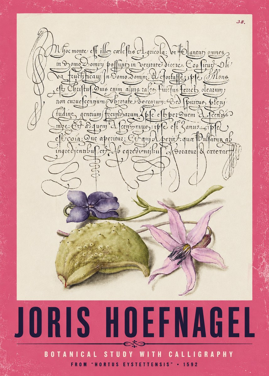 Joris Hoefnagel Botanical Study with Calligraphy I No2 - Affiche