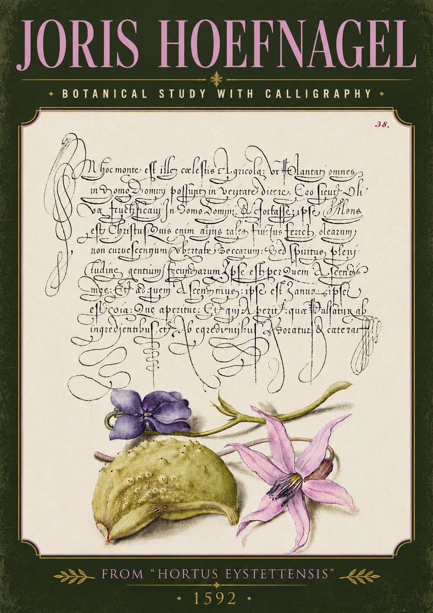Joris Hoefnagel Botanical Study with Calligraphy I No5 - Affiche