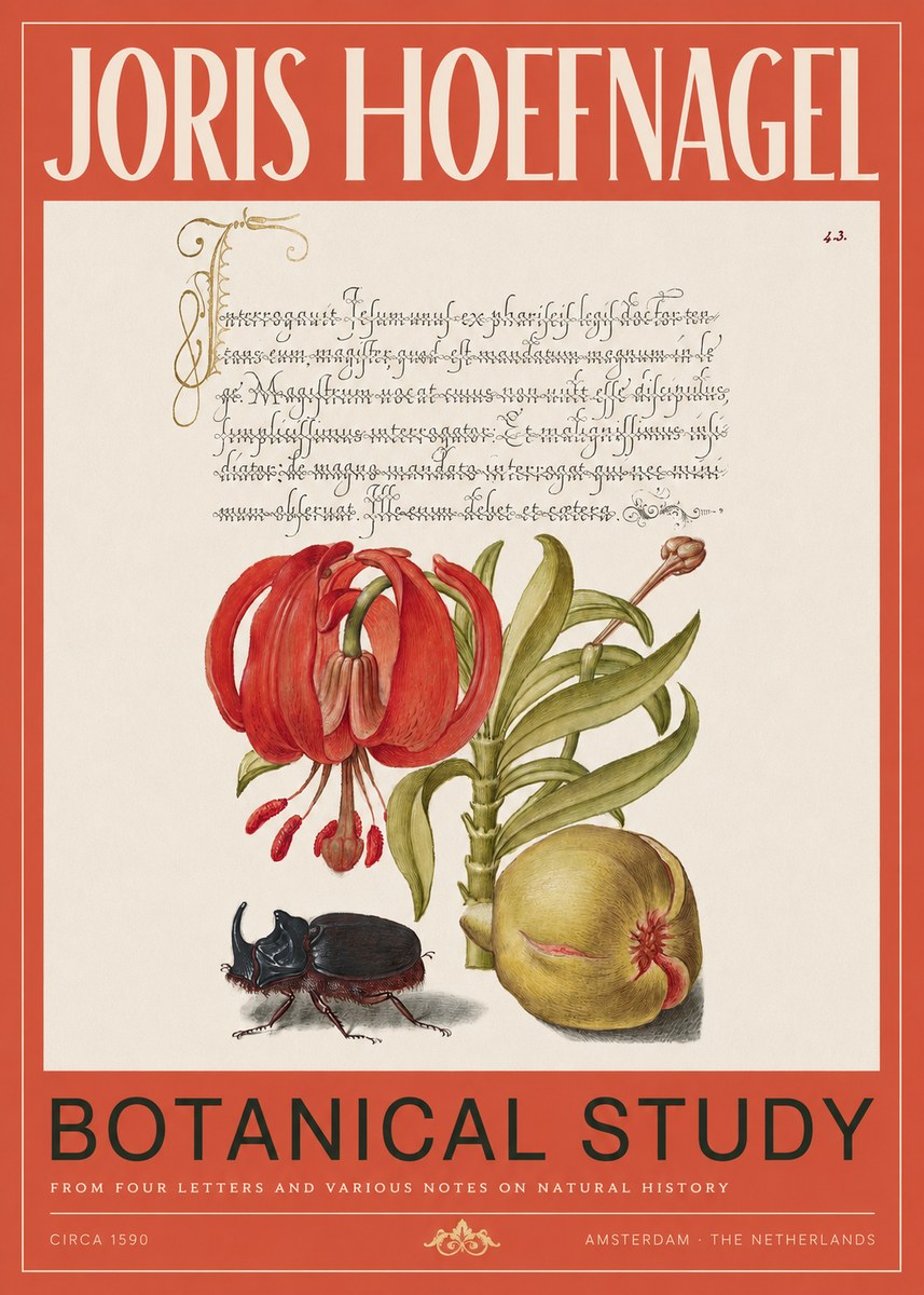 Joris Hoefnagel Botanical Study II No2 - Affiche