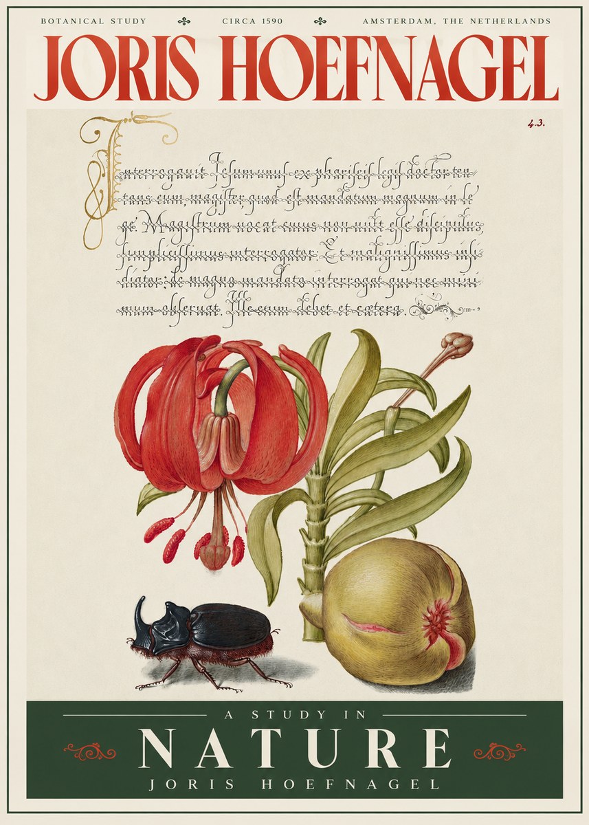 Joris Hoefnagel Botanical Study II No4 - Affiche