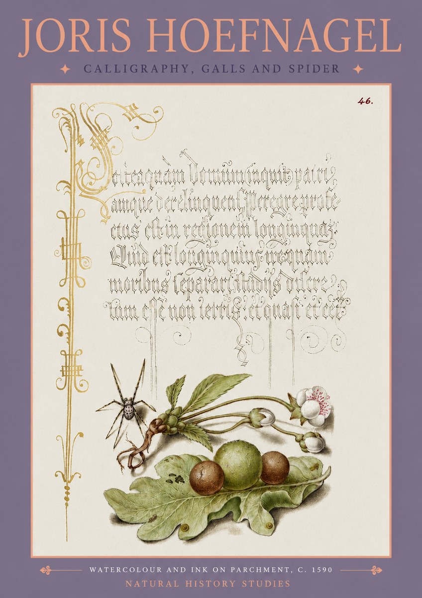 Joris Hoefnagel Plant with Galls and Insect No4 - Affiche