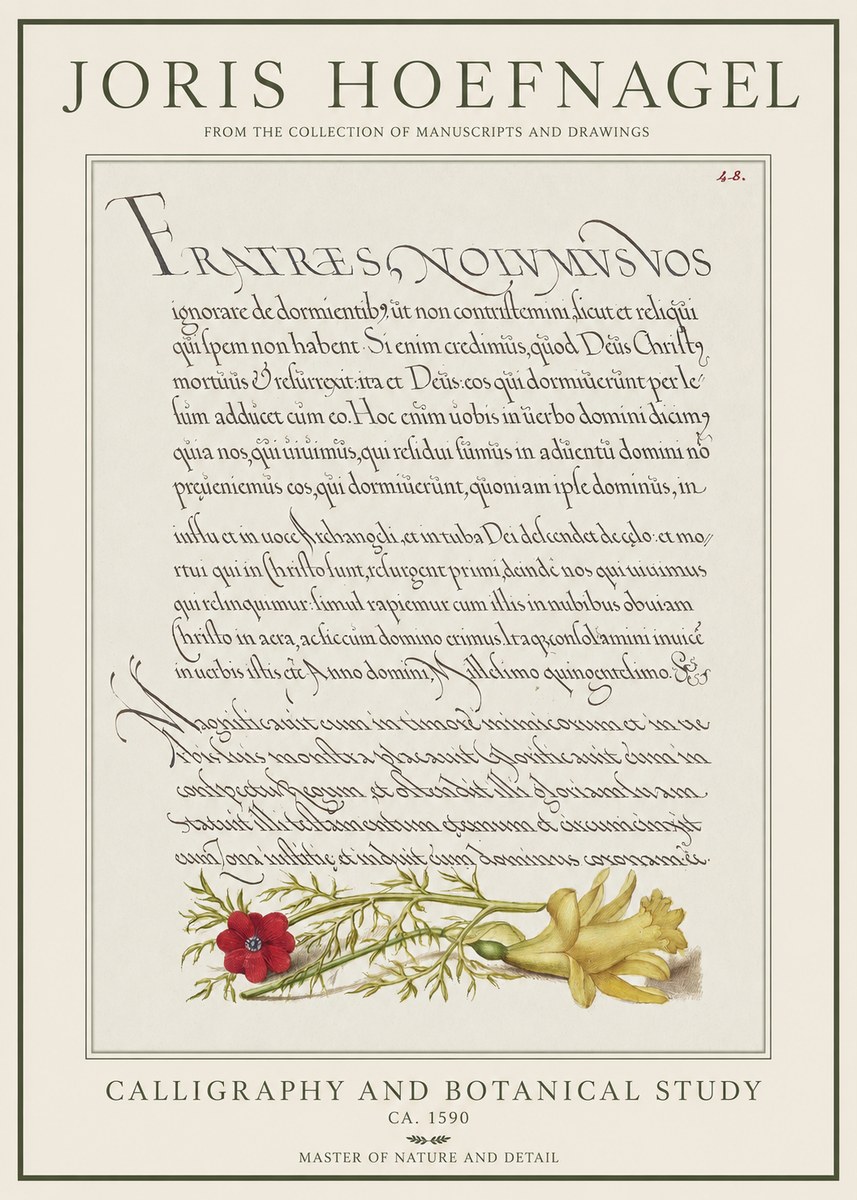 Joris Hoefnagel Calligraphy and Botanical Study I No1 - Affiche