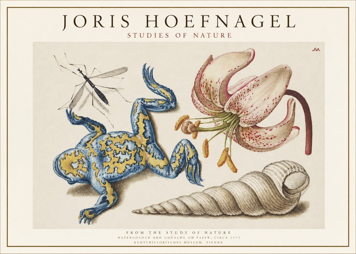Joris Hoefnagel From the Study of Nature No1 - Affiche