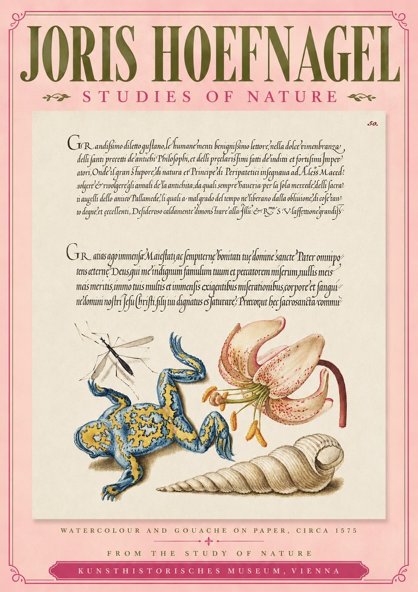 Joris Hoefnagel From the Study of Nature No3 - Affiche