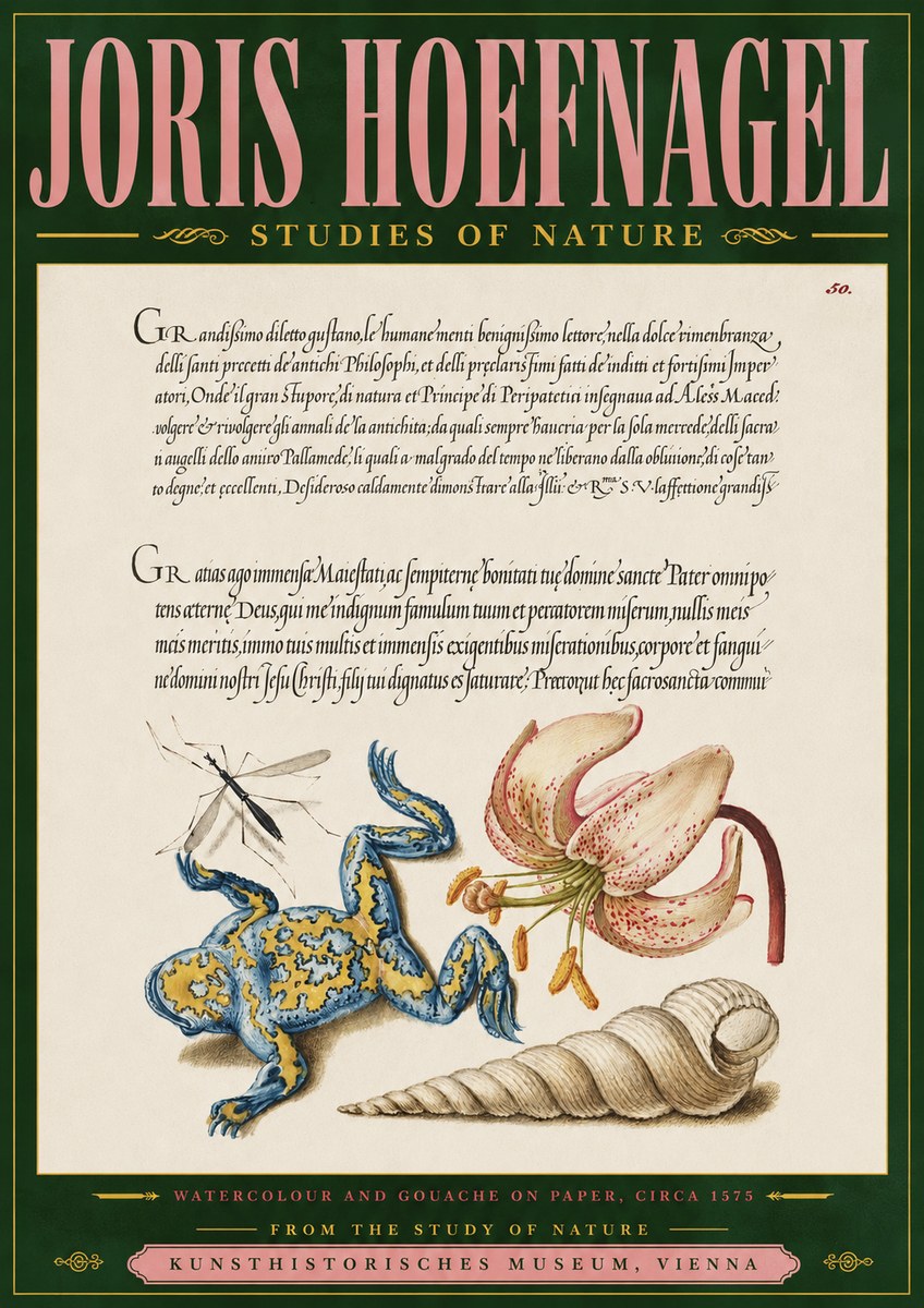 Joris Hoefnagel From the Study of Nature No4 - Affiche