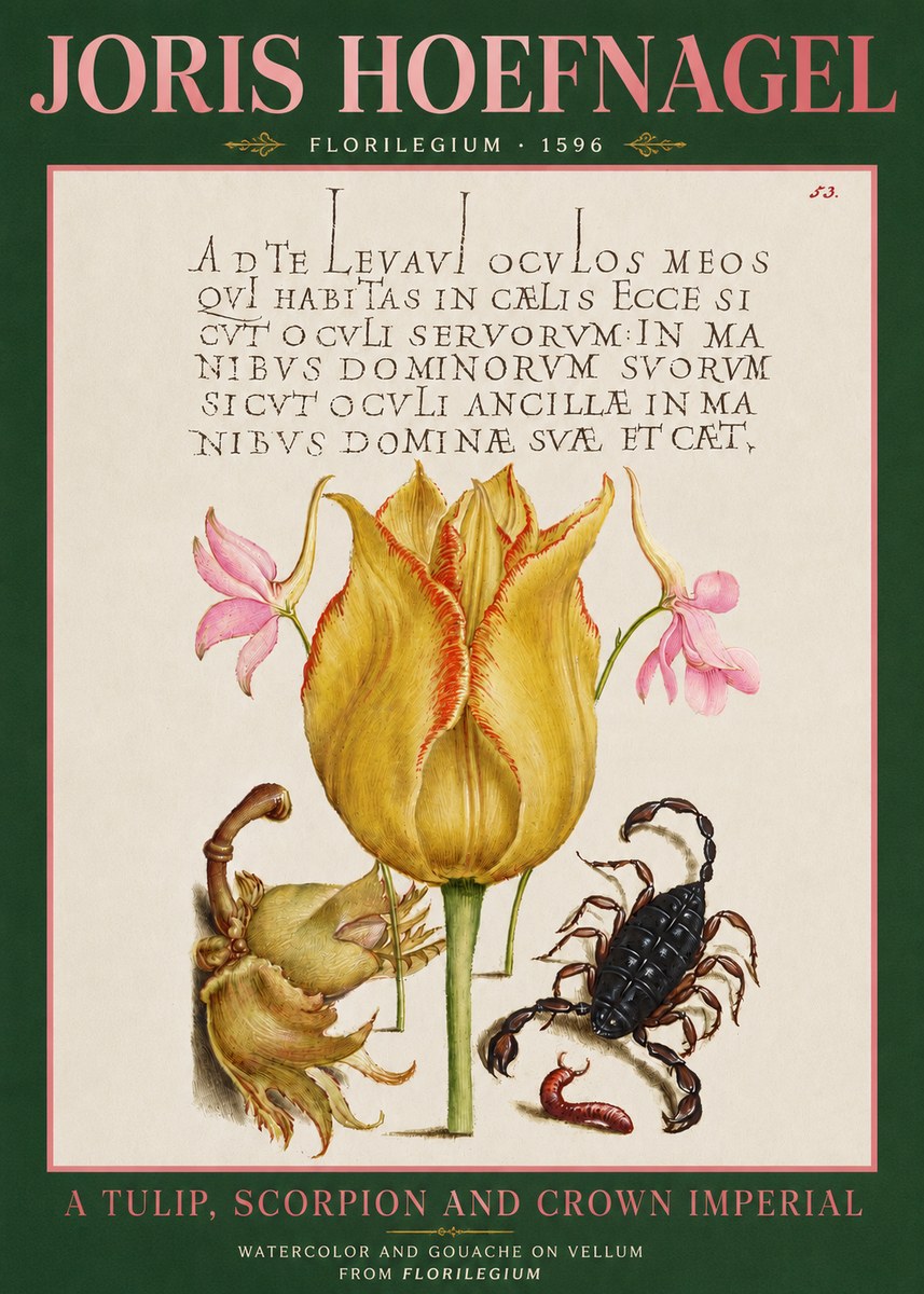 Joris Hoefnagel A Tulip, Scorpion and Crown Imperial No3 - Affiche