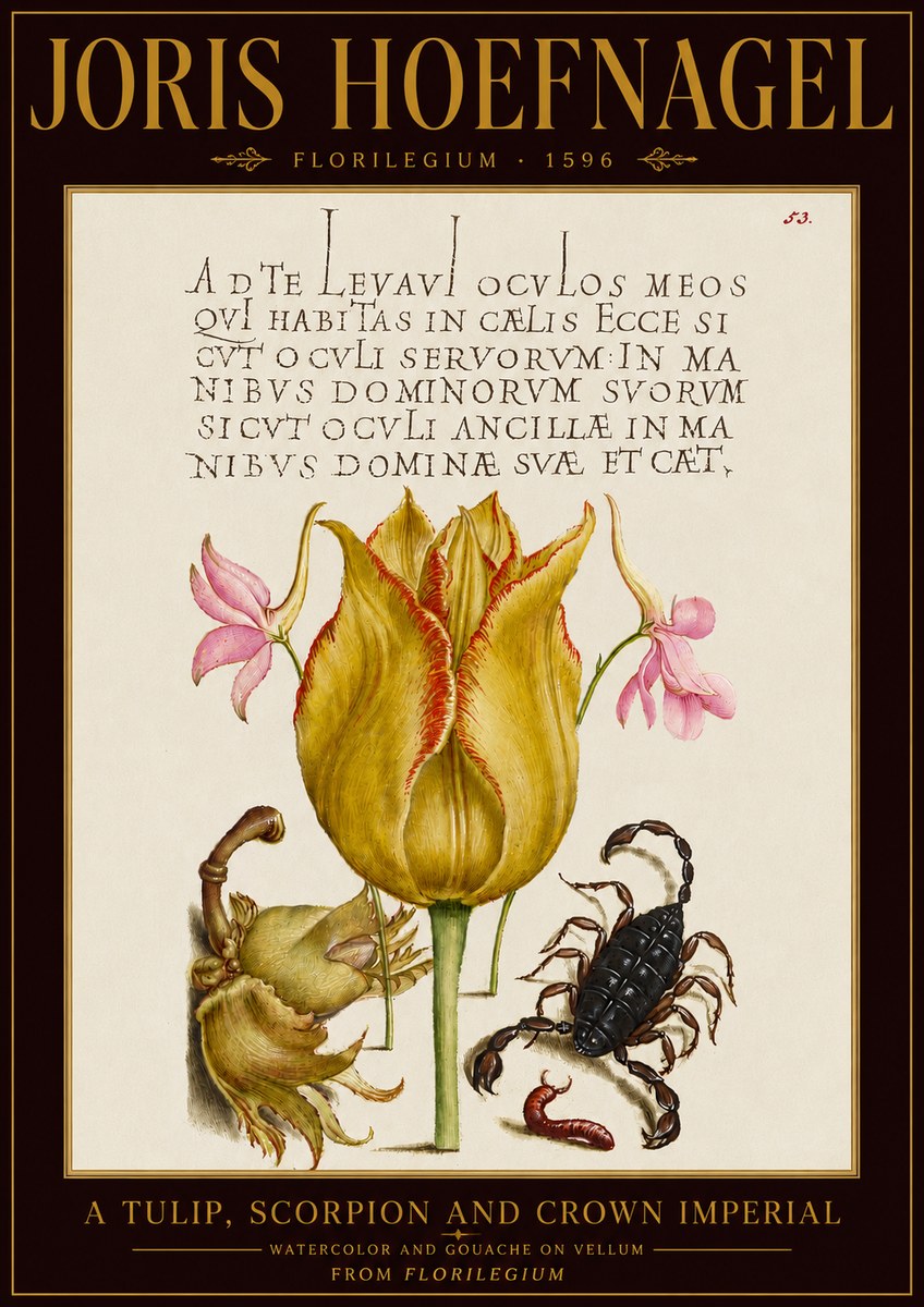 Joris Hoefnagel A Tulip, Scorpion and Crown Imperial No5 - Affiche