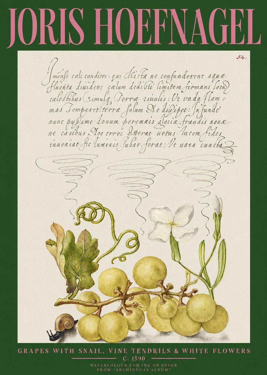 Joris Hoefnagel Grapes with Snail, Vine Tendrils & White Flowers No2 - Affiche