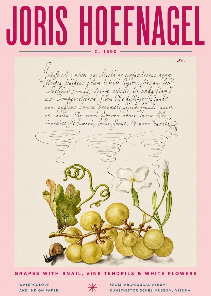 Joris Hoefnagel Grapes with Snail, Vine Tendrils & White Flowers No4 - Affiche
