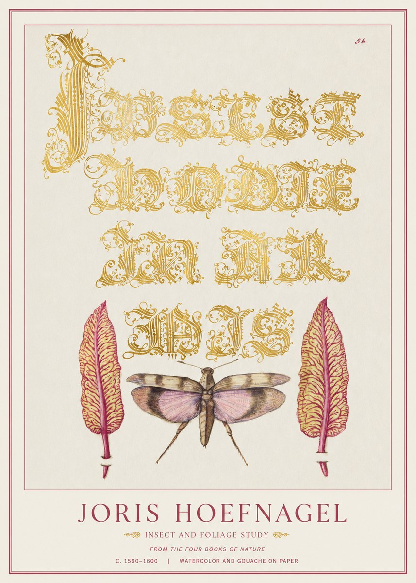 Joris Hoefnagel Insect and Foliage Study No1 - Affiche