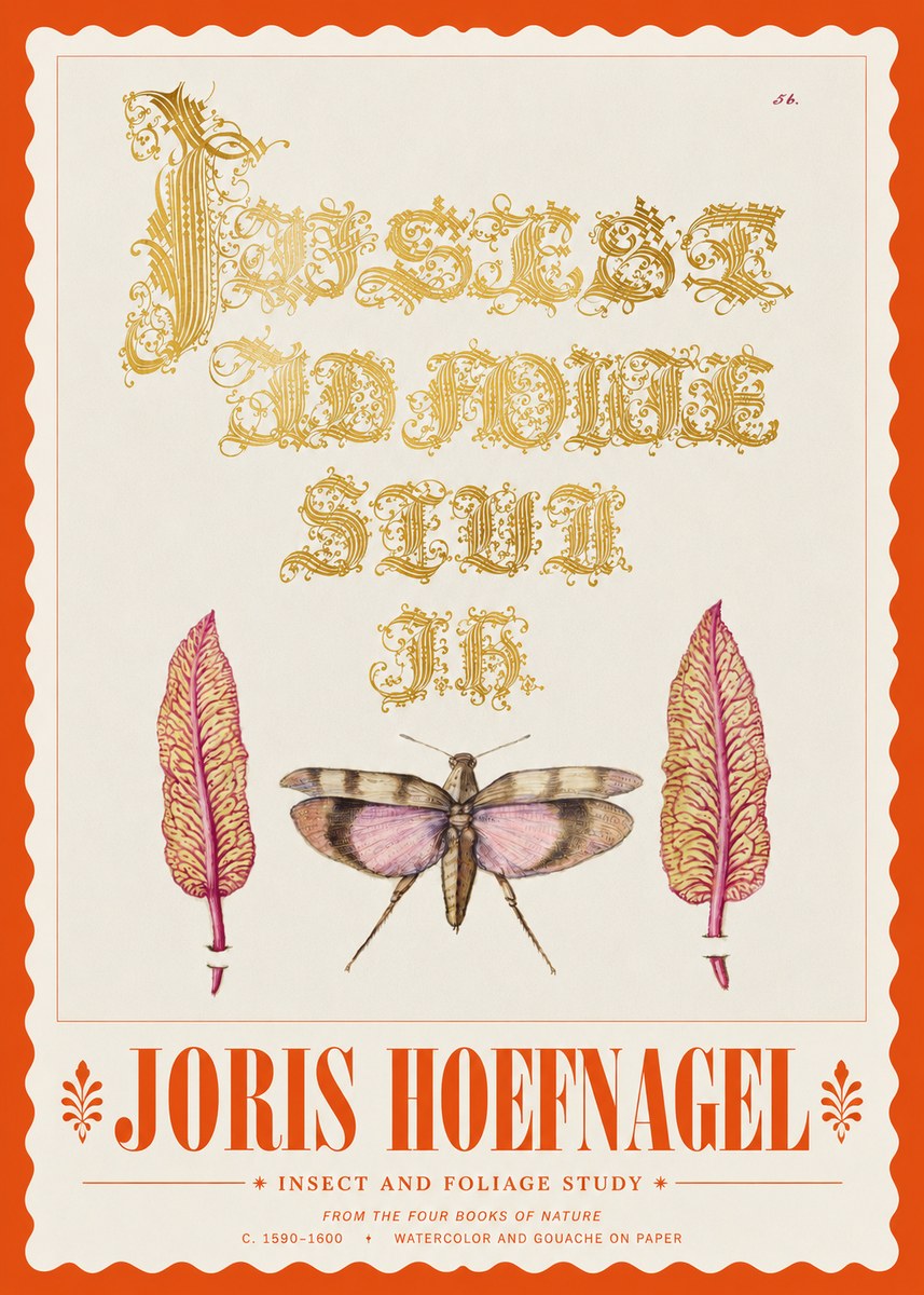 Joris Hoefnagel Insect and Foliage Study No3 - Affiche