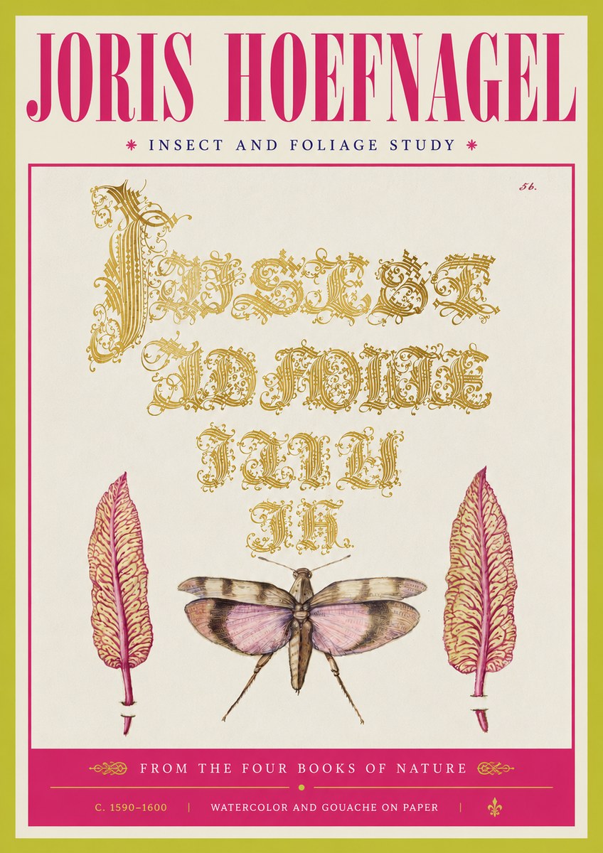 Joris Hoefnagel Insect and Foliage Study No4 - Affiche