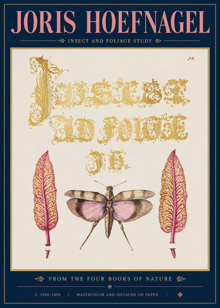 Joris Hoefnagel Insect and Foliage Study No5 - Affiche