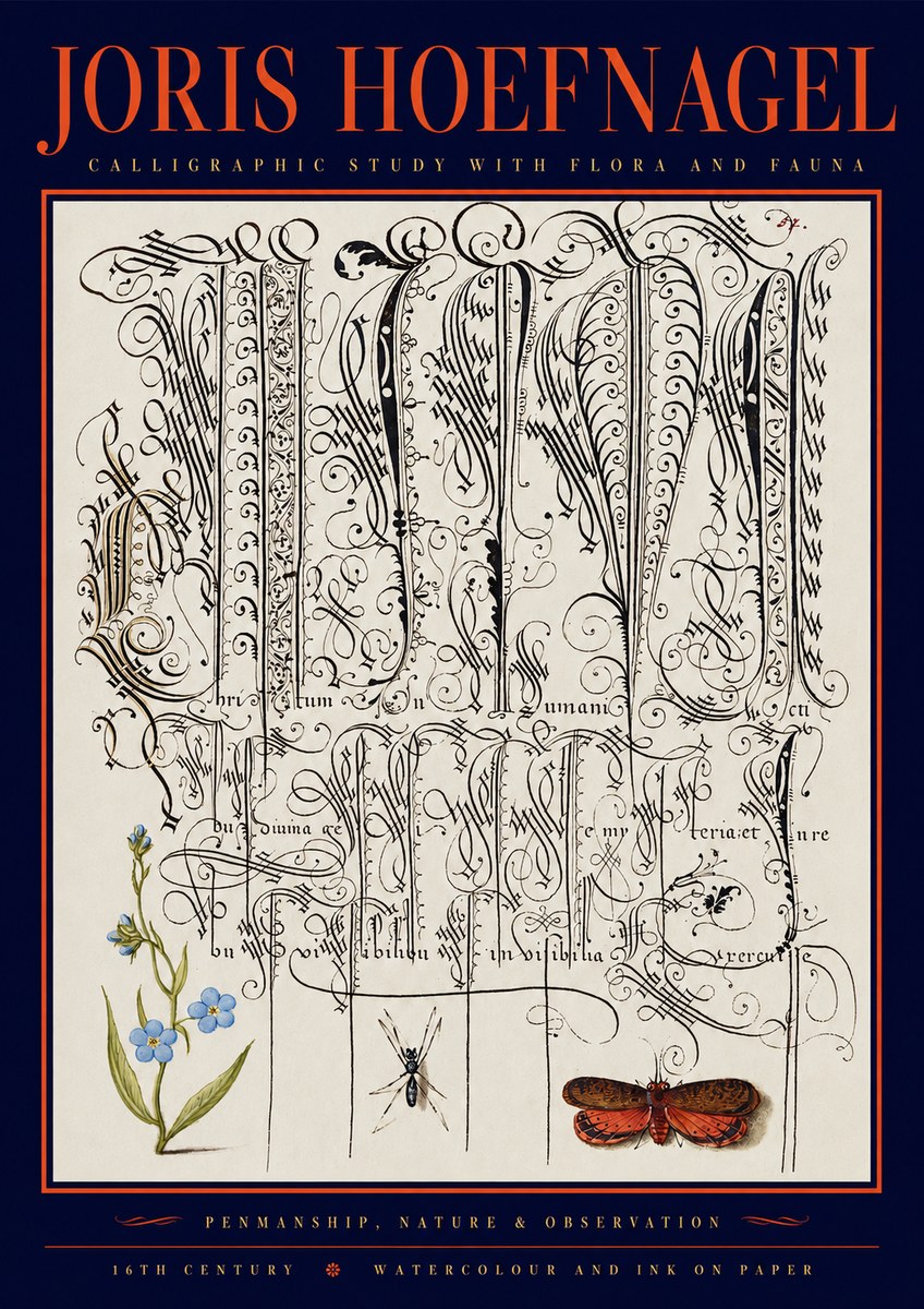 Joris Hoefnagel Calligraphic Study with Flora and Fauna No2 - Affiche