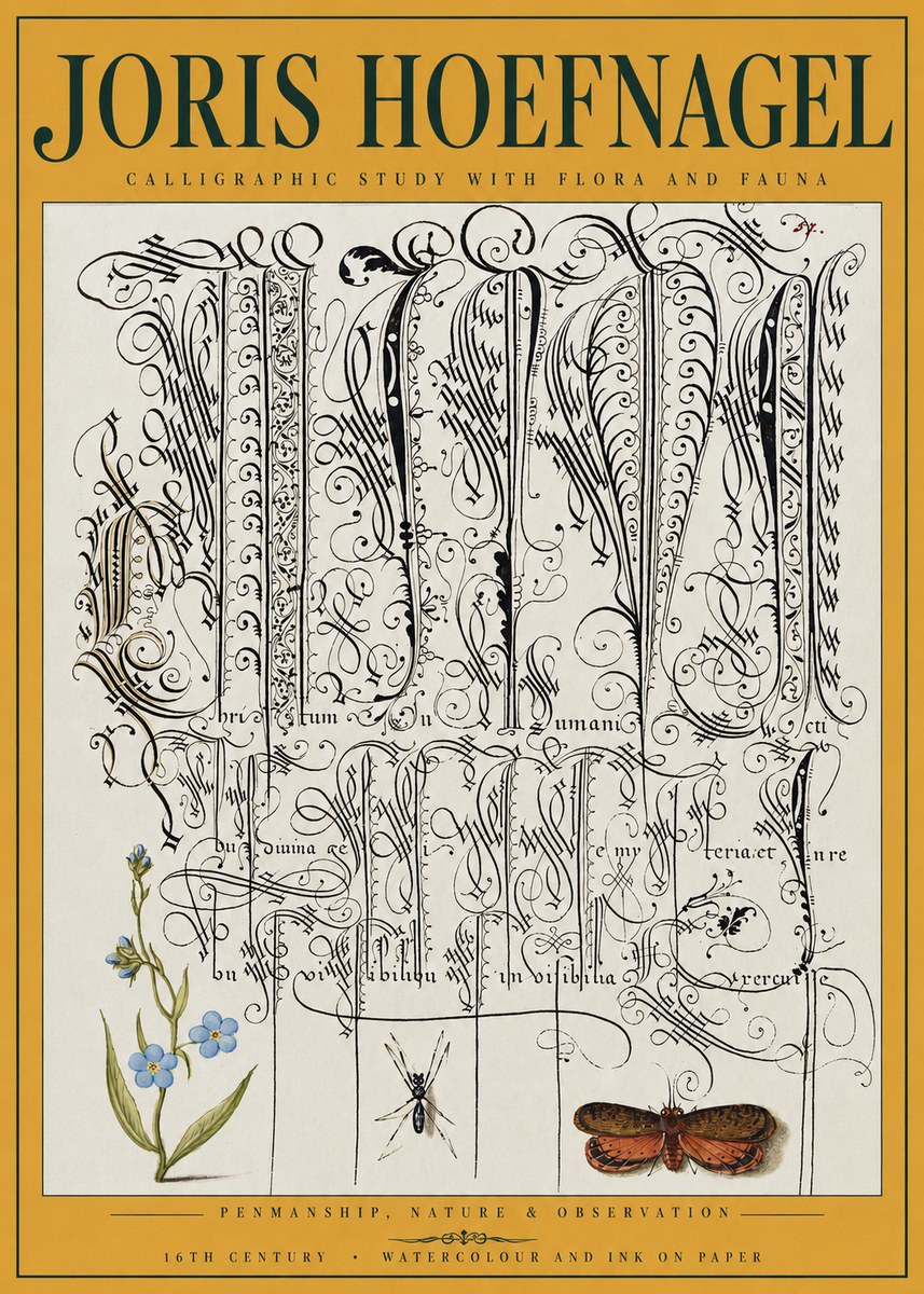 Joris Hoefnagel Calligraphic Study with Flora and Fauna No3 - Affiche