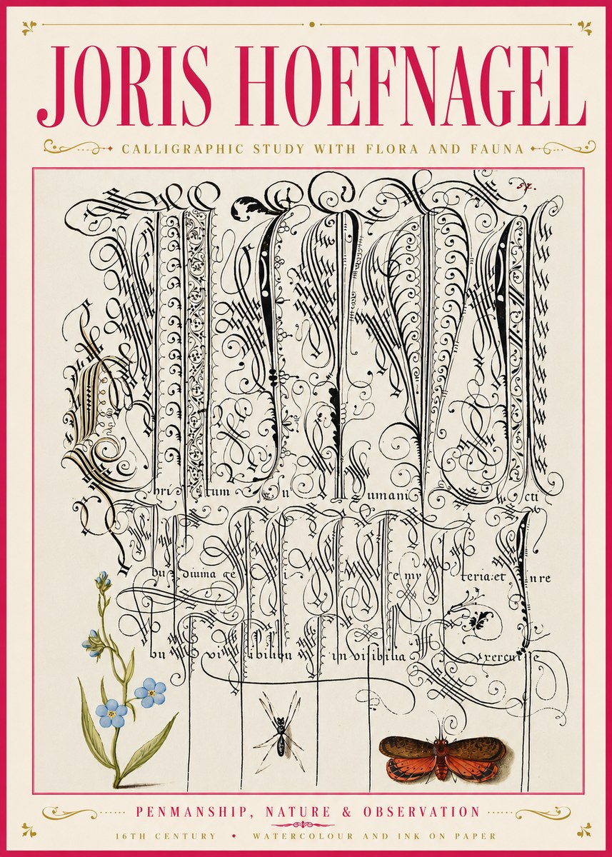 Joris Hoefnagel Calligraphic Study with Flora and Fauna No6 - Affiche