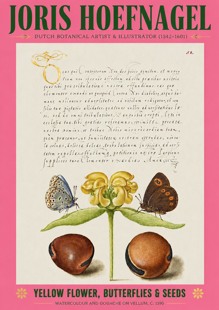 Joris Hoefnagel Yellow Flower, Butterflies & Seeds No2 - Affiche