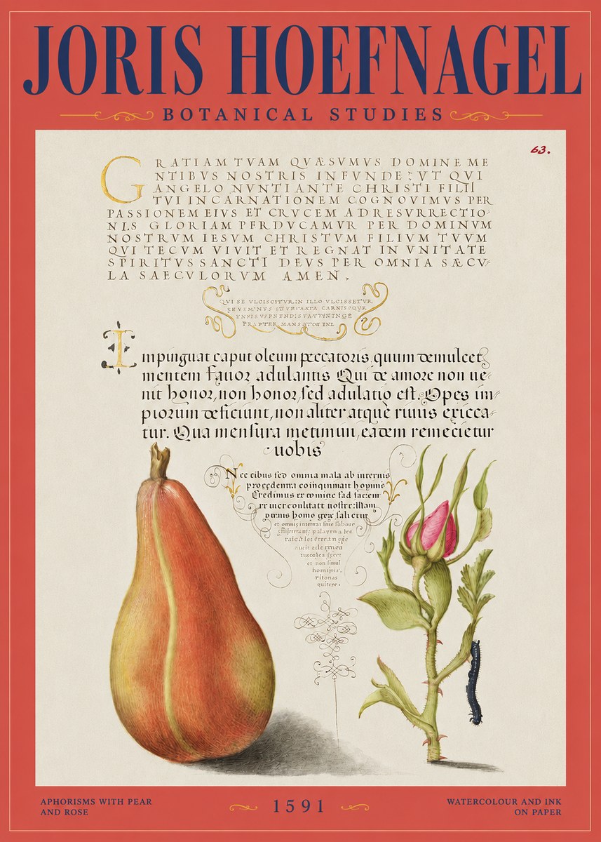 Joris Hoefnagel Aphorisms with Pear and Rose No2 - Affiche