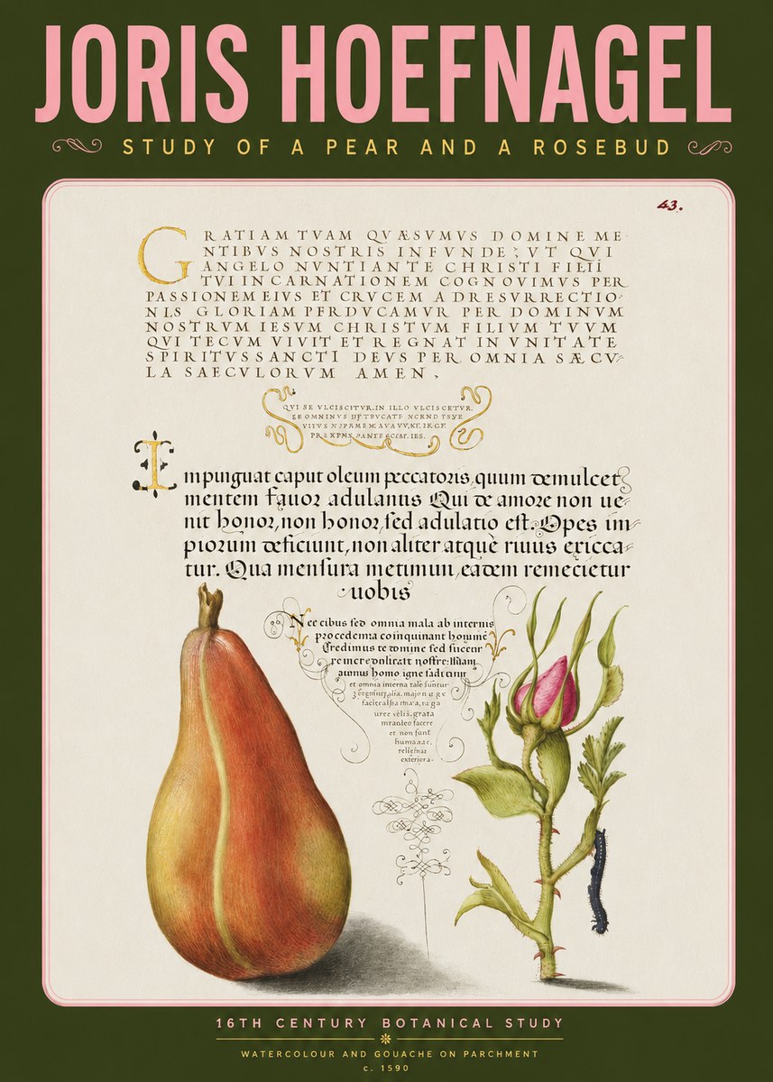 Joris Hoefnagel Aphorisms with Pear and Rose No4 - Affiche