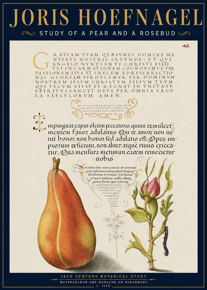 Joris Hoefnagel Aphorisms with Pear and Rose No6 - Affiche