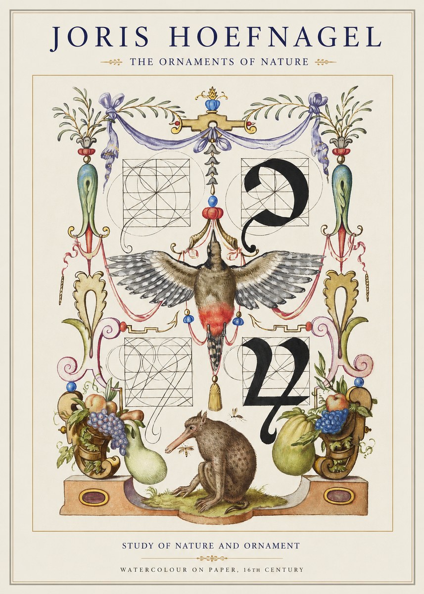 Joris Hoefnagel Study of Nature and Ornament No1 - Affiche