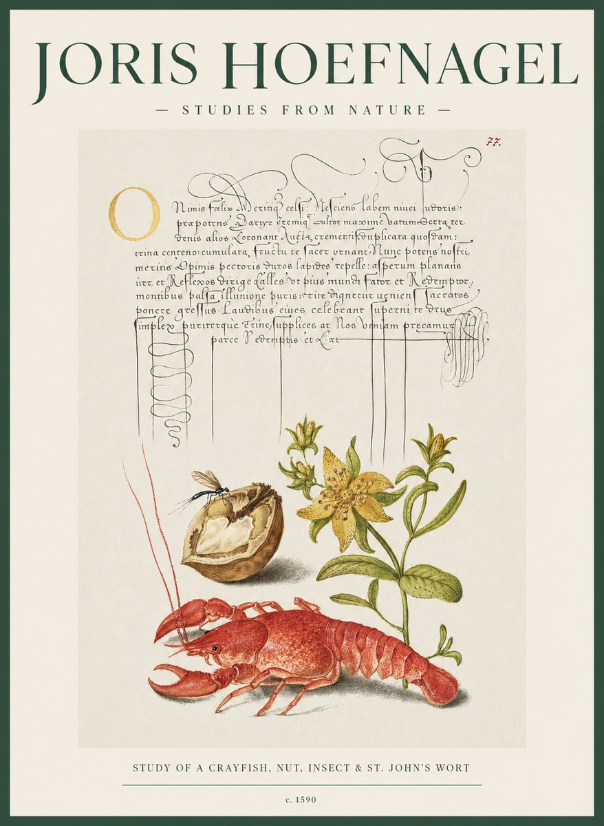 Joris Hoefnagel Studies from Nature No2 - Affiche