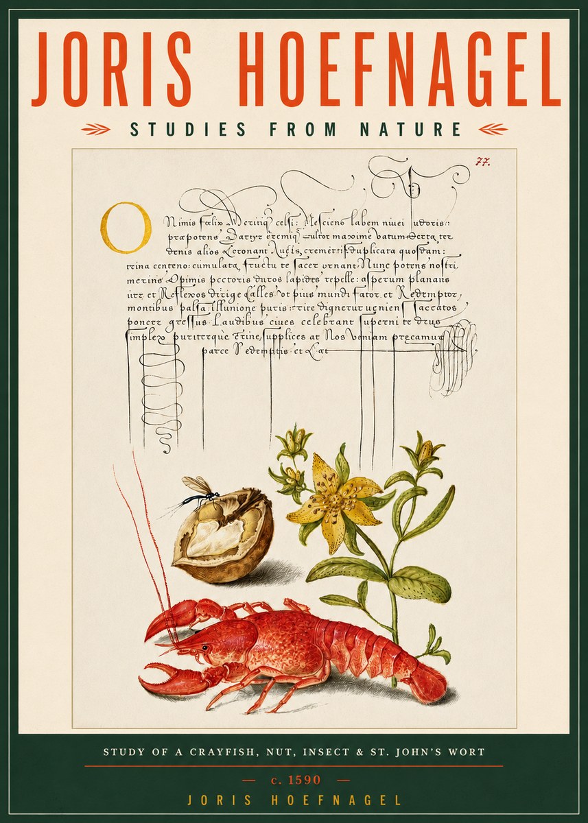 Joris Hoefnagel Studies from Nature No5 - Affiche