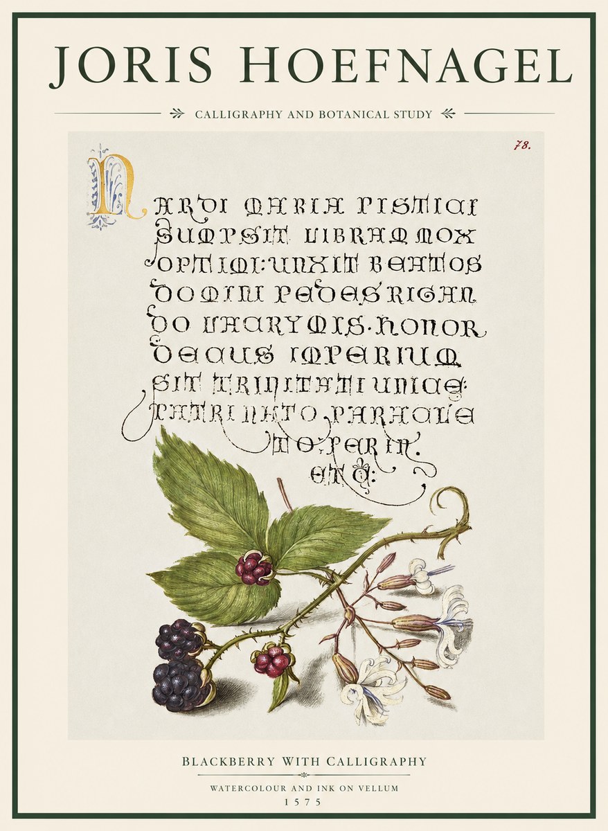 Joris Hoefnagel Calligraphy and Botanical Study II No5 - Affiche