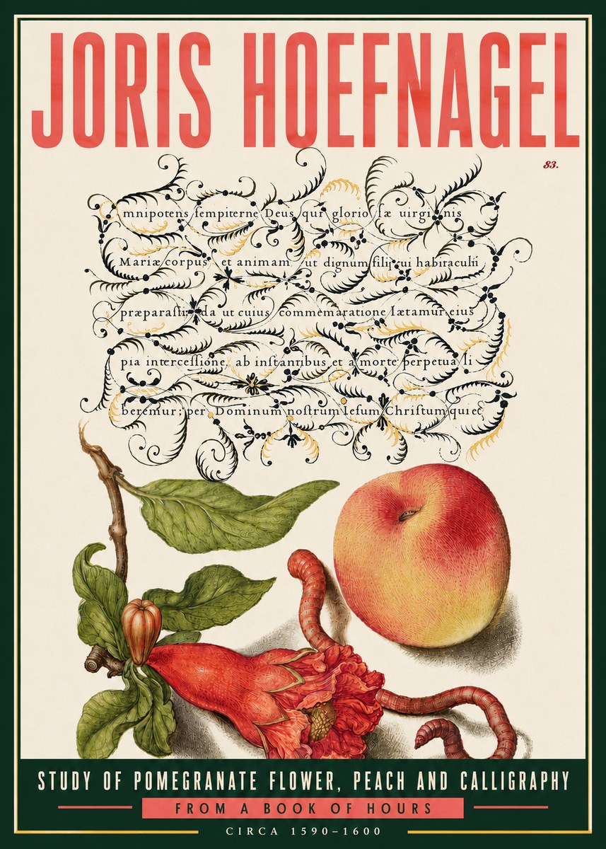 Joris Hoefnagel Study of Pomegranate Flower, Peach and Calligraphy from a Book of Hours No6 - Affiche