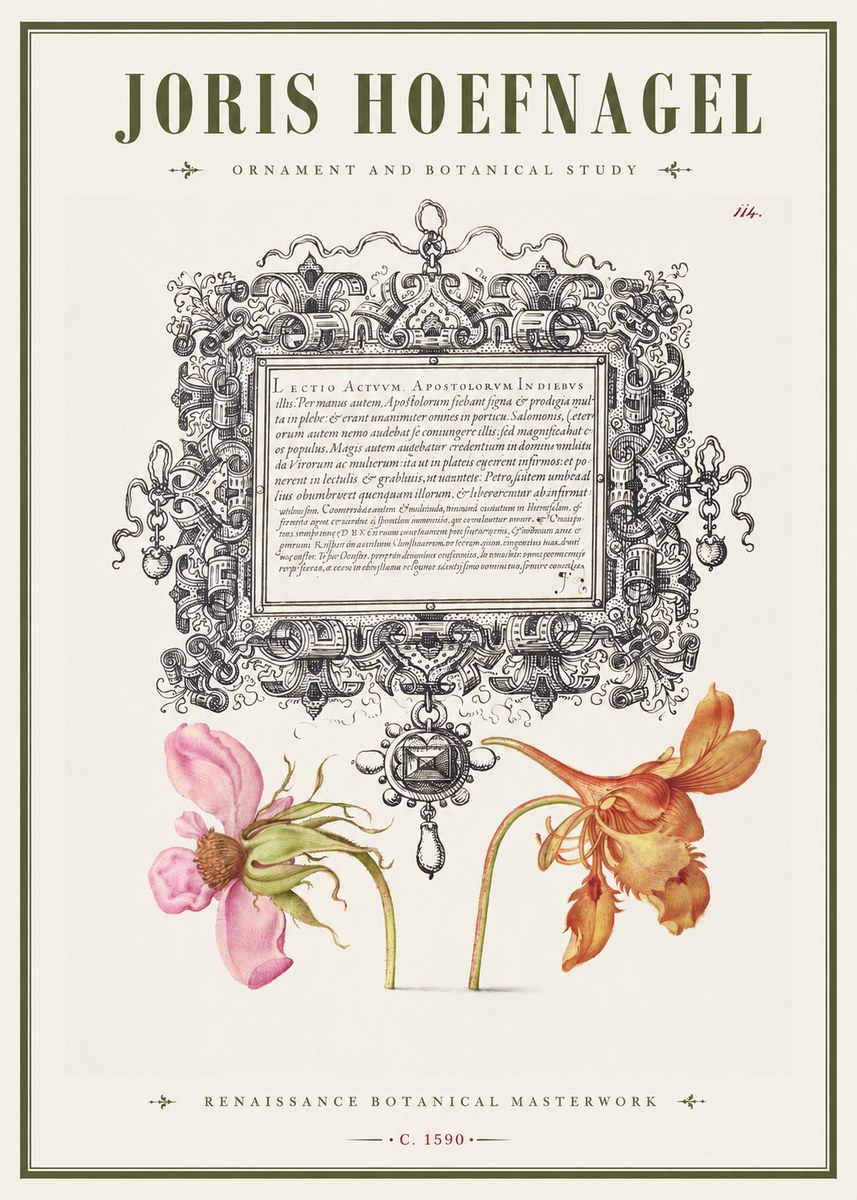 Joris Hoefnagel Ornament and Botanical Study No1 - Affiche