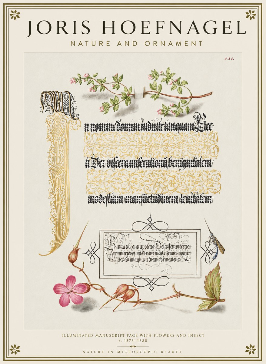 Joris Hoefnagel Illuminated Manuscript Page with Flowers and Insect No1 - Affiche