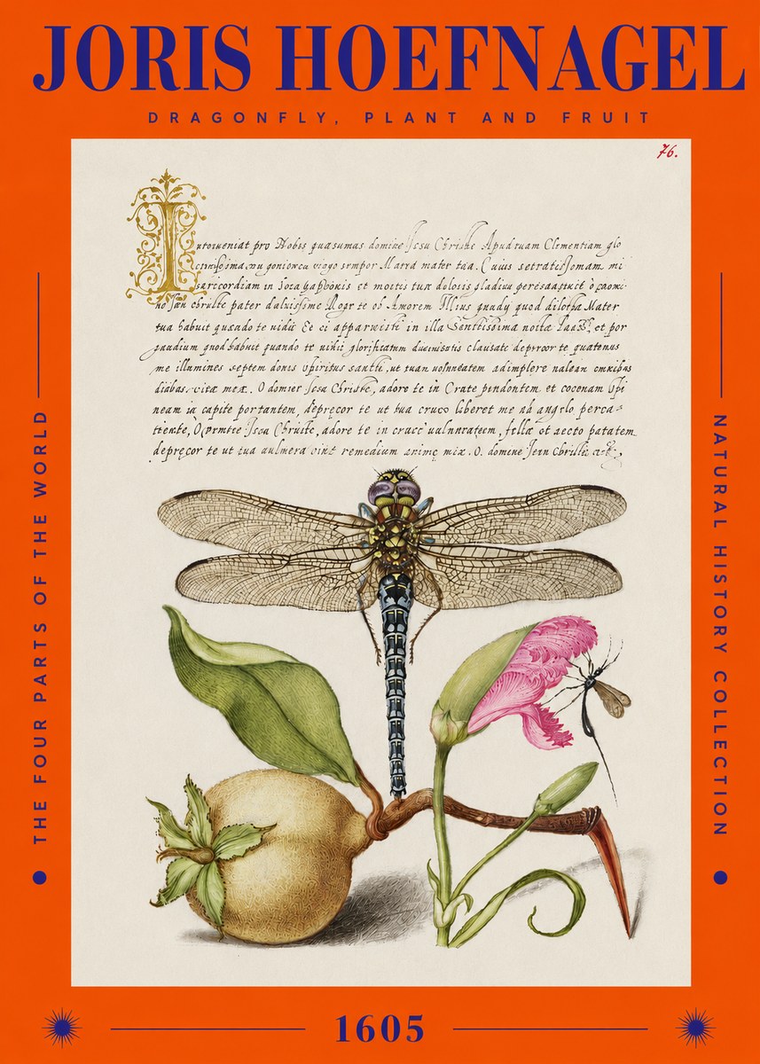 Joris Hoefnagel Dragonfly, Plant and Fruit No2 - Affiche