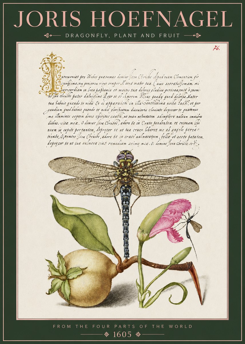 Joris Hoefnagel Dragonfly, Plant and Fruit No3 - Affiche