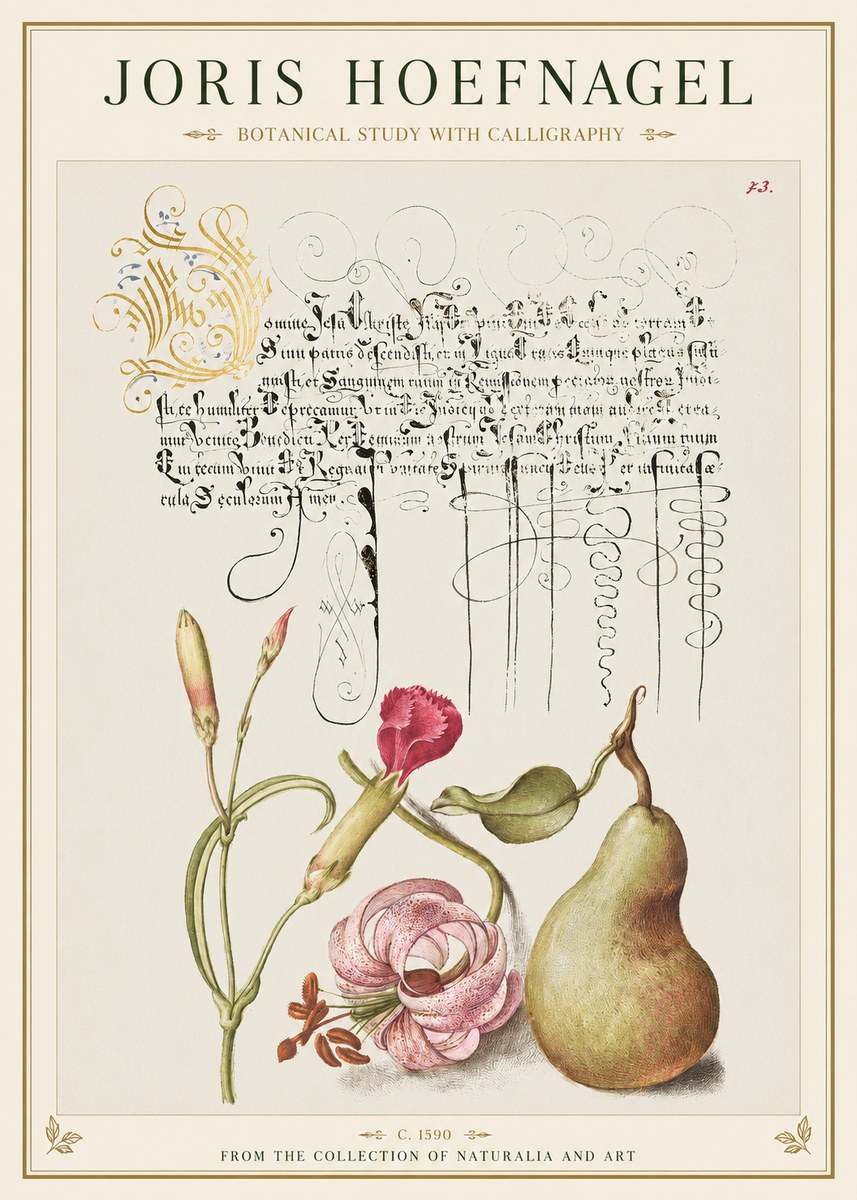 Joris Hoefnagel Botanical Study with Calligraphy II No1 - Affiche