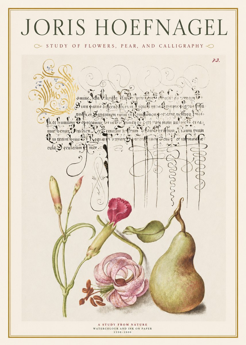 Joris Hoefnagel Botanical Study with Calligraphy II No2 - Affiche