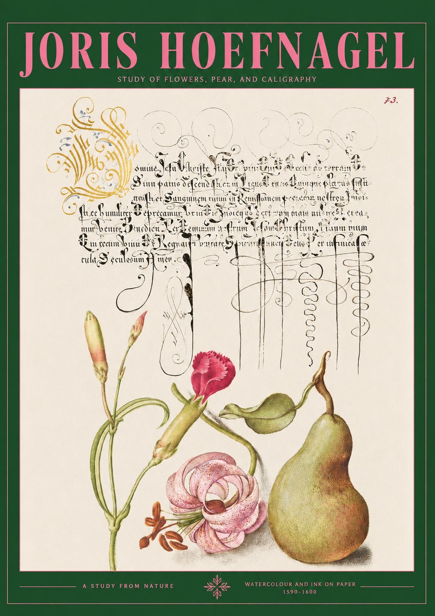 Joris Hoefnagel Botanical Study with Calligraphy II No3 - Affiche